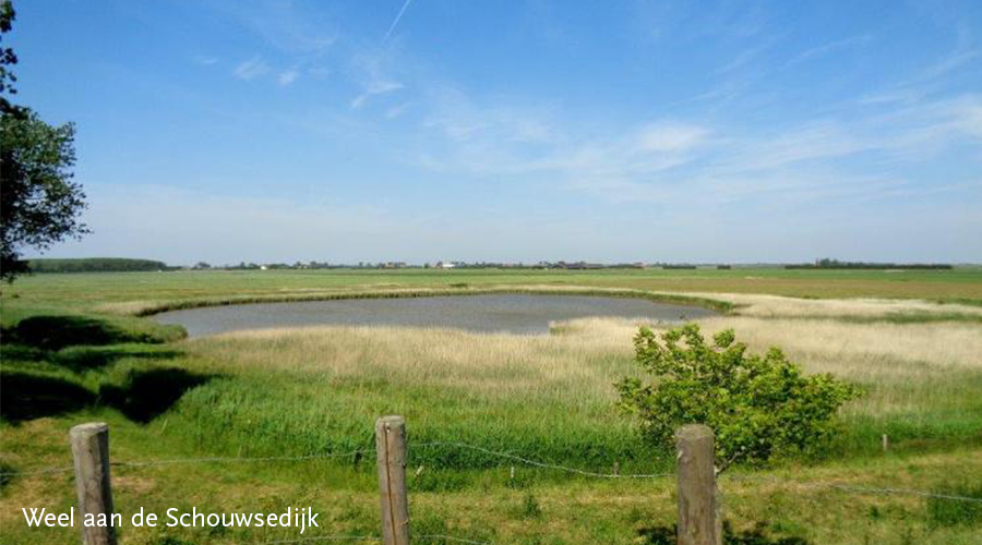 Waarde van oude dingen 